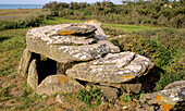 Megalithic monuments prove human presence during the Neolithic era (5300-3000 BC). Île d Yeu. Vendée department. France.