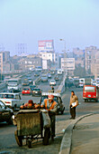 Scene in Cairo. Egypt