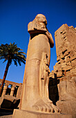 Karnak Temple in Luxor. Egypt