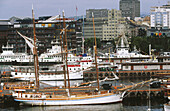 Oslo s Harbour. Norway