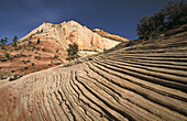 Zion National Park. Utah, USA