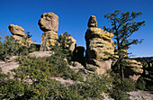 Chiricahua National Monument. Arizona, USA
