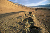 Black Mountains. Death Valley National Park. California, USA