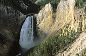 Lower Falls. Yellowstone National Park. Wyoming. USA