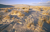 White Sand National Monument. New Mexico, USA
