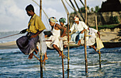 Stilt-fishermen. Sri Lanka