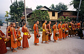 Monks collecting. Luang Prabang. North Laos