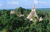 Tikal Maya ruins. Yucatan. Guatemala