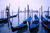 Venice. Veneto, Italy