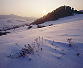 Winter landscape. Bieszczady mountains, Poland