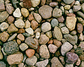 Rocks collected from a field