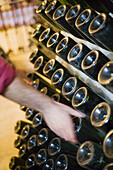 Turning sparkling wine bottles in cellar. Requena-Utiel, Valencia province, Comunidad Valenciana, Spain