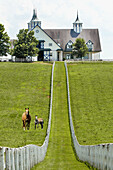 Kentucky Horse park and surrounding horse farms in Lexington KY