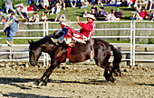 Bronc riding event at a rodeo