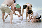Senior couples look for and collect shells along Naples beach. Florida, USA