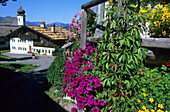 Blumenrabatte im Sommer, Wamberg, Garmisch-Partenkirchen, Bayern, Deutschland, Bayern, Deutschland
