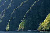 The dramatic coast at the Hanavave Bay on Fatu Iva Island, French Polynesia