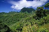 The wild interior of Fatu Iva Island with Mt. Touaouoho, French Polynesia
