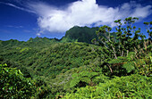 The wild interior of the island of Fatu Iva with Mt. Touaouoho, French Polynesia