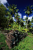 Die archäologische Stätte Paeke auf der Insel Nuku Hiva, Französisch Polynesien