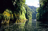 The Wanganui River in Whanganui National Park, North Island, New Zealand