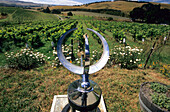 Sonnenuhr vor einem Weinfeld in einem Weinanbaugebiet, Südinsel, Neuseeland