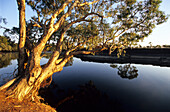 Der Kennedy River im Lakefield National Park, Queensland, Australien