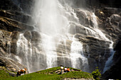 Couple watching Fallbach Waterfall, Malta Valley, Hohe Tauern National Park, Carinthia, Austria