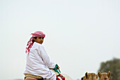 Young Arabian boy riding on a camel, Camel Race, Rash al Khaimah, United Arab Emirates