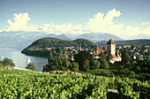 Spiez mit Schloss Spiez am Thuner See, Berner Oberland, Schweiz