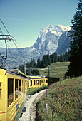 Jungfraubahn über Grindelwald, Berner Oberland, Schweiz