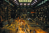 Tier Ausstellung, Naturhistorisches Museum, Musée d'Histoire Naturelle, Natur, Naturkundemuseum, Jardin des Plantes, 5. Arrondissement, Paris, Frankreich