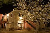 Blossoming Plum Tree at Night, Agrotourismo Alfatx Finca Hotel, near s'Esgleieta, Mallorca, Balearic Islands, Spain