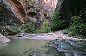 The Narrows. Virgin River. Zion Canyon. Zion Canyon National Park. Utah, USA