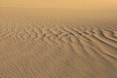 Sand dunes in Death Valley National Park. California. USA