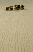 Sand dunes in Death Valley National Park. California. USA