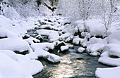 Stream in winter scenery. Bany. Graubuenden, eastern part of Switzerland.