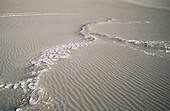 Sand dunes. Death Valley National Park. California. USA.