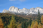 Dolomites and larches near Passo del Falzarego. Italy