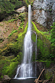 Marymere Falls, Olympic National Park. Washington. USA