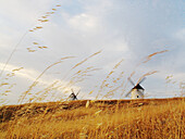 Windmills, Mota del Cuervo. Cuenca province, Castilla-La Mancha, Spain