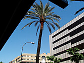 Avenue, Córdoba. Andalusia, Spain