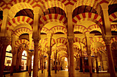 Mosque of Cordoba. Andalusia. Spain