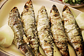 Sardines. Lisbon. Portugal.