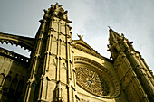 Gothic cathedral. Palma de Mallorca, Majorca, Balearic Islands. Spain