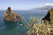 Ribeira da Janela islands. Madeira. Portugal.