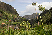 São Roque do Faial. Madeira. Portugal