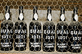 Bual. Vintage Madeira wine bottles. The old Blandy wine lodge. Funchal. Madeira. Portugal.