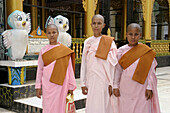 Buddhist nuns. Shwemawdaw Pagoda. Bago. Myanmar (Burma).