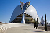 Palacio de las Artes Reina Sofía, City of Arts and Sciences by S. Calatrava. Valencia. Comunidad Valenciana, Spain